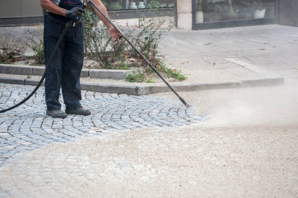 Animal Enclosure Cleaning in Woodacre, CA